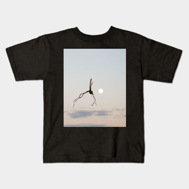 Icarus 2 Kids T-Shirt by Kavatar
